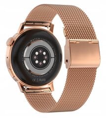 DT3 Gold Steel цена и информация | Смарт-часы (smartwatch) | 220.lv