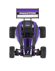 Quer Radiovadāmā mašīna Phantom 1:32 / 2.4 GHz / 2WD / Violets cena un informācija | Rotaļlietas zēniem | 220.lv