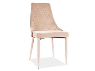 4-u krēslu komplekts Signal Meble Trix, smilškrāsas cena un informācija | Virtuves un ēdamistabas krēsli | 220.lv