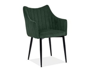 Комплект из 2-х стульев Signal Meble Monte, зеленый цена и информация | Стулья для кухни и столовой | 220.lv