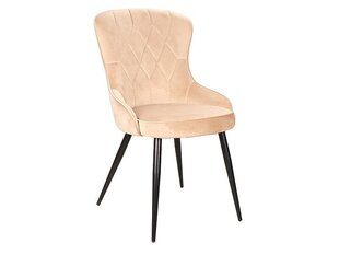 4-u krēslu komplekts Signal Meble Lotus, smilškrāsas cena un informācija | Virtuves un ēdamistabas krēsli | 220.lv