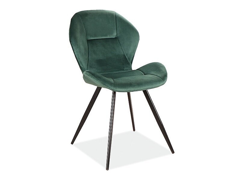 4-u krēslu komplekts Signal Meble Ginger Velvet, zaļš цена и информация | Virtuves un ēdamistabas krēsli | 220.lv