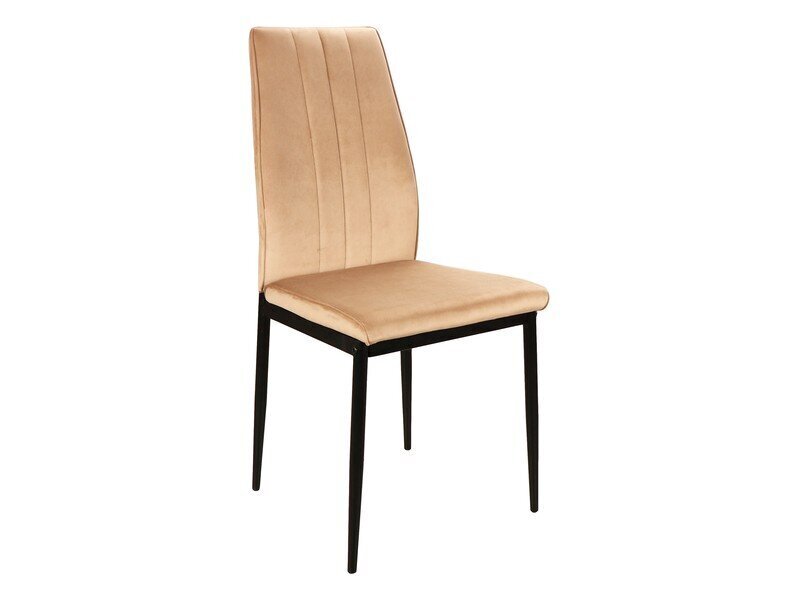 4-u krēslu komplekts Signal Meble Atom, smilškrāsas cena un informācija | Virtuves un ēdamistabas krēsli | 220.lv