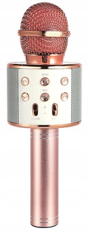 Bezvadu karaoke mikrofons un Bezvadu austiņas ar LED fona apgaismojumu, lieliska dāvana bērnam cena un informācija | Austiņas | 220.lv
