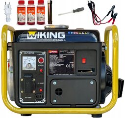 Strāvas ģenerators 230/12v цена и информация | Электрогенераторы | 220.lv