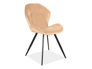 4-u krēslu komplekts Signal Meble Ginger Velvet, smilškrāsas cena un informācija | Virtuves un ēdamistabas krēsli | 220.lv