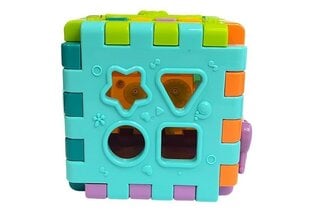 Развивающий домик Lean Toys Сортировочный лабиринт, оранжевый цена и информация | Развивающие игрушки | 220.lv