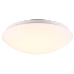Nordlux griestu lampa Ask 28 цена и информация | Потолочные светильники | 220.lv