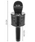 Karaoke mikrofons ar balss maiņas efektiem, melns cena un informācija | Attīstošās rotaļlietas | 220.lv
