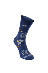 Rainbow Socks Gentleman 3 pāri 23602-249 cena un informācija | Vīriešu zeķes | 220.lv