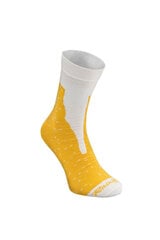 Rainbow Socks konservēts alus 1 pāris 23596-249 цена и информация | Женские носки | 220.lv