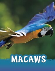 Macaws цена и информация | Книги для подростков  | 220.lv