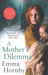 Mother's Dilemma цена и информация | Фантастика, фэнтези | 220.lv