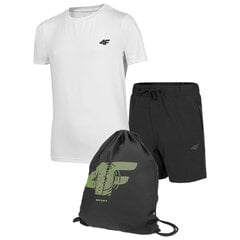 Комплект спортивной одежды для мальчиков 4F HJZ22 JSETRM001 90S многоцветный цена и информация | Комплекты для мальчиков | 220.lv
