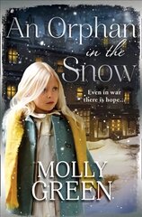 Orphan in the Snow: The Heart-Warming Saga You Need to Read This Year ePub edition цена и информация | Фантастика, фэнтези | 220.lv