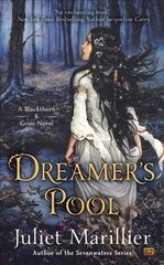 Dreamer's Pool: A Blackthorn & Grim Novel cena un informācija | Fantāzija, fantastikas grāmatas | 220.lv