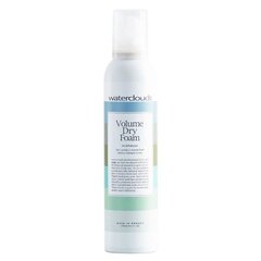 Apjomu piešķirošas putas un sausais šampūns Waterclouds Volume Dry Foam 2In1, 250 ml cena un informācija | Šampūni | 220.lv
