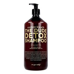 Dziļi attīrošs matu šampūns Waterclouds The Dude Detox Shampoo, 1000 ml cena un informācija | Šampūni | 220.lv