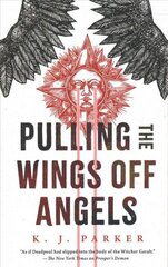 Pulling the Wings Off Angels цена и информация | Фантастика, фэнтези | 220.lv
