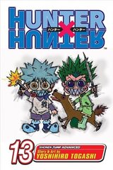 Hunter x Hunter, Vol. 13: September 10th illustrated edition, Volume 13 cena un informācija | Fantāzija, fantastikas grāmatas | 220.lv