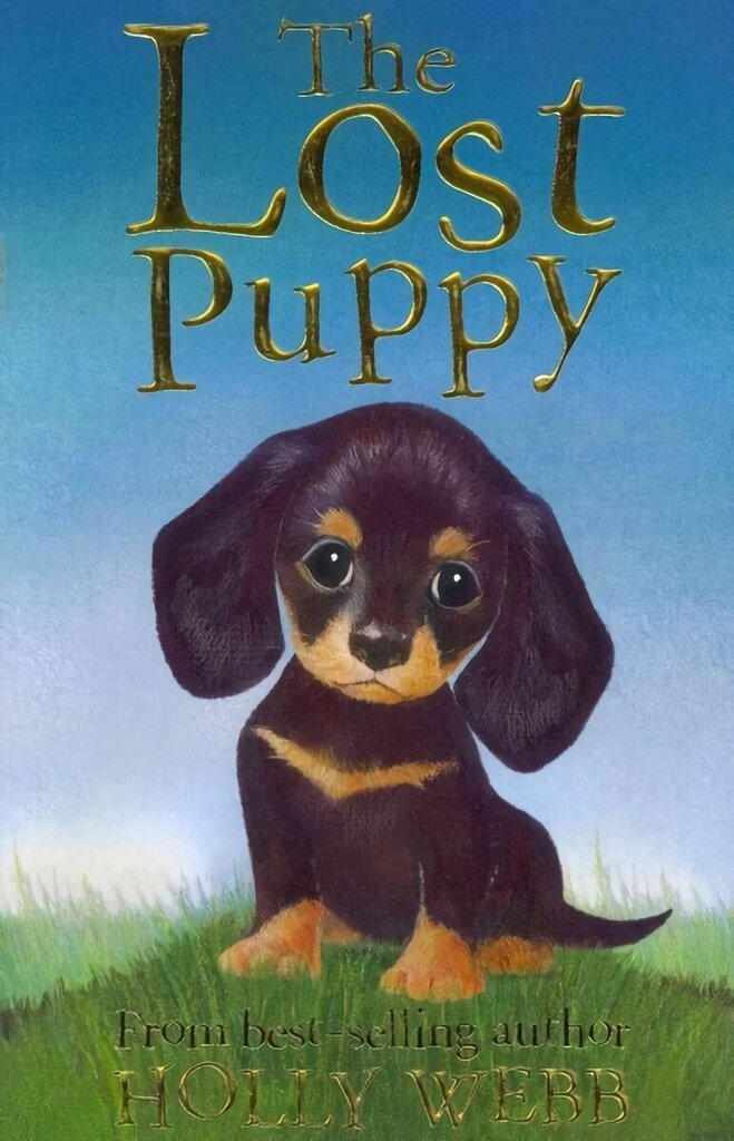 Lost Puppy cena un informācija | Grāmatas pusaudžiem un jauniešiem | 220.lv