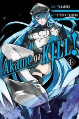 Akame ga KILL!, Vol. 4, Vol. 4 цена и информация | Фантастика, фэнтези | 220.lv