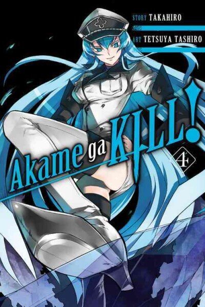 Akame ga KILL!, Vol. 4, Vol. 4 цена и информация | Fantāzija, fantastikas grāmatas | 220.lv