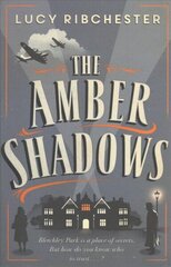 Amber Shadows Paperback Original cena un informācija | Fantāzija, fantastikas grāmatas | 220.lv