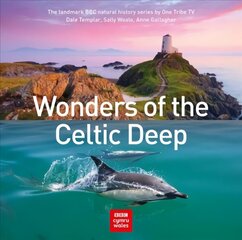Wonders of the Celtic Deep цена и информация | Путеводители, путешествия | 220.lv