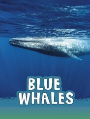 Blue Whales цена и информация | Книги для подростков  | 220.lv