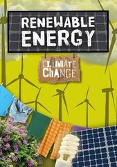 Renewable Energy цена и информация | Книги для подростков  | 220.lv