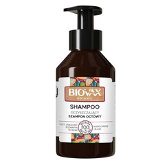 Attīrošs etiķa šampūns L'biotica Biovax Botanic Shampoo, 200ml cena un informācija | Šampūni | 220.lv