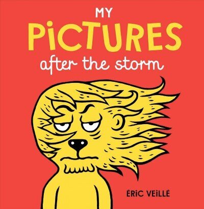 My Pictures After the Storm cena un informācija | Grāmatas mazuļiem | 220.lv