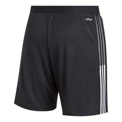 Sporta šorti vīriešiem Adidas Tiro 21 Training M GN2157, melni cena un informācija | Futbola formas un citas preces | 220.lv