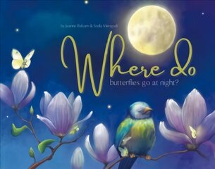 Where Do Butterflies Go at Night? цена и информация | Книги для самых маленьких | 220.lv