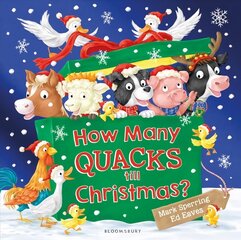 How Many Quacks Till Christmas? цена и информация | Книги для малышей | 220.lv