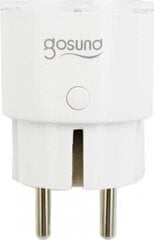 Gosund | NiteBird Умная розетка WiFi Gosund SP111 3680W 16A, Туя цена и информация | Электрические выключатели, розетки | 220.lv