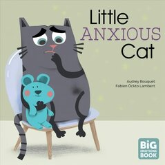 Little Anxious Cat цена и информация | Книги для малышей | 220.lv