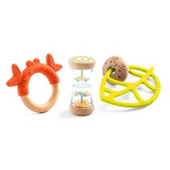 Набор для младенцев, 3 шт - погремушка и два прорезывателя, Djeco цена и информация | Игрушки для малышей | 220.lv