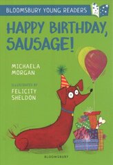 Happy Birthday, Sausage! A Bloomsbury Young Reader: White Book Band цена и информация | Книги для малышей | 220.lv