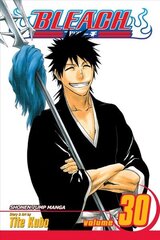 Bleach, Vol. 30: There Is No Heart Without You, v. 30 цена и информация | Фантастика, фэнтези | 220.lv