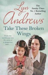 Take these Broken Wings: Can she escape her tragic past? цена и информация | Фантастика, фэнтези | 220.lv