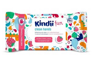 Влажные салфетки Kindii Fun Antibacterial Wipes, 60 шт. цена и информация |  Одноразовые пеленки и влажные салфетки | 220.lv