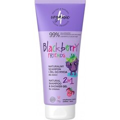 Šampūns un mazgāšanas želeja bērniem 2in1 Blackberry Friends 4organic, 200 ml cena un informācija | Bērnu kosmētika, līdzekļi jaunajām māmiņām | 220.lv