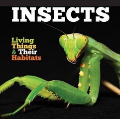 Insects None ed. cena un informācija | Grāmatas pusaudžiem un jauniešiem | 220.lv