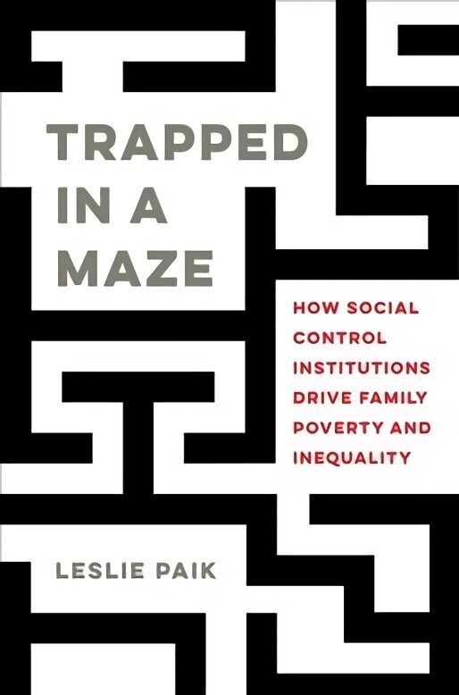 Trapped in a Maze: How Social Control Institutions Drive Family Poverty and Inequality cena un informācija | Sociālo zinātņu grāmatas | 220.lv