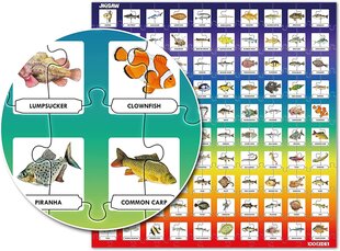 Jigsaw Quiz puzle Fish80392 цена и информация | Настольные игры, головоломки | 220.lv