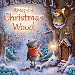 Tales from Christmas Wood New edition цена и информация | Книги для самых маленьких | 220.lv