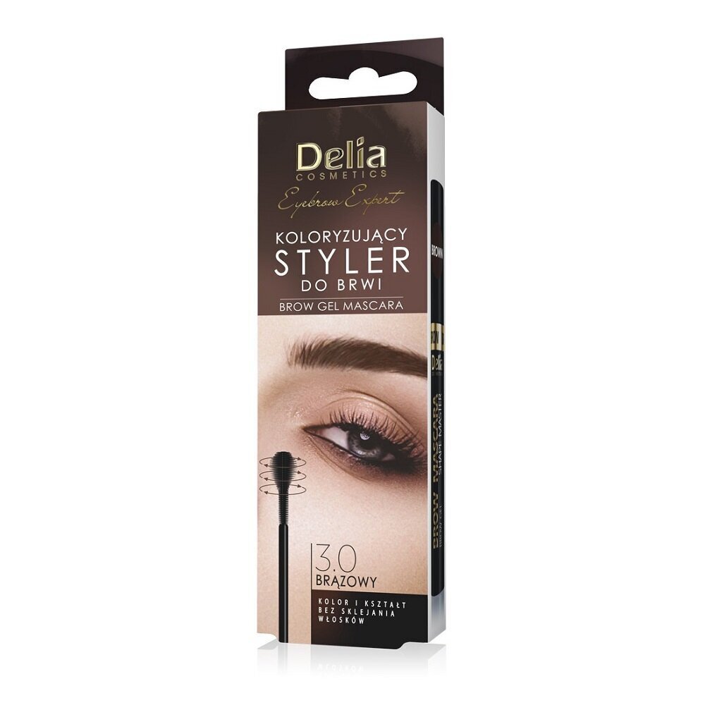 Uzacu zīmulis Delia Eyebrow Expert 3.0 brown, 11ml цена и информация | Uzacu krāsas, zīmuļi | 220.lv