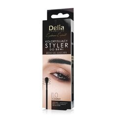 Uzacu zīmulis Delia Eyebrow Expert 1.0 black, 11ml cena un informācija | Uzacu krāsas, zīmuļi | 220.lv